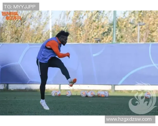 武汉网球队整体压制体系解析与战术运用探讨 武汉网球队整体压制体系解析与战术运用探讨