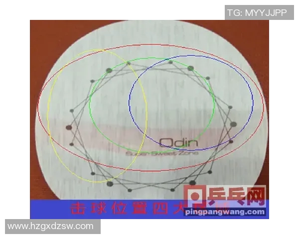 南京乒乓球队实力分析与表现评估探讨及未来发展方向研究