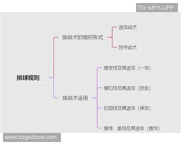 排球巨献：深入分析西安排球队球员个人能力与战术配合
