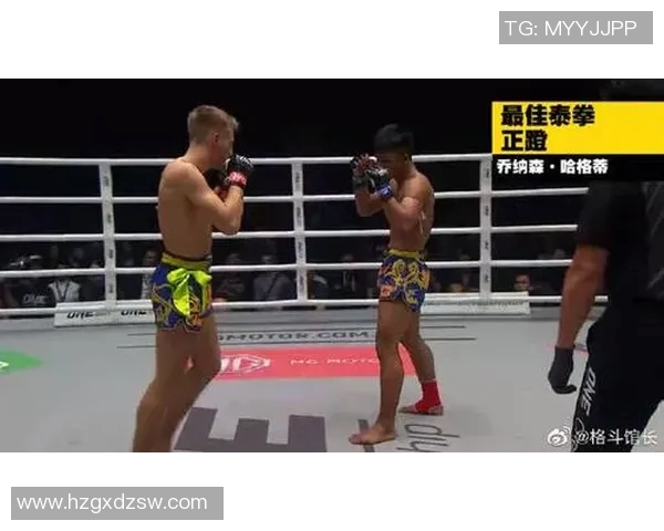 张伟的排球人生：从赛场到人生的精彩对话与反思