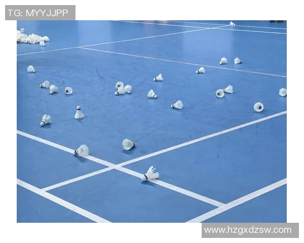 西安羽毛球队的崛起与发展探秘展现羽毛球运动的无限魅力与力量